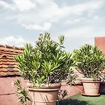 Weitzer - Centre Of Graz