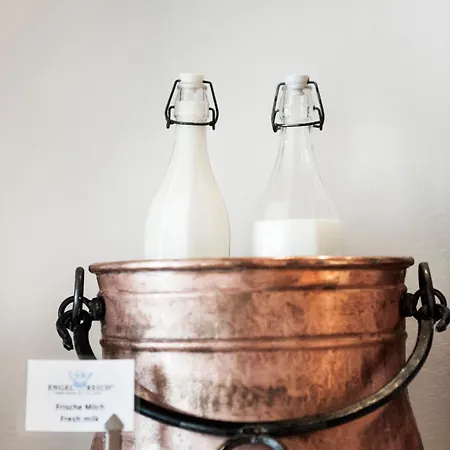 Weitzer - Centre Of Graz