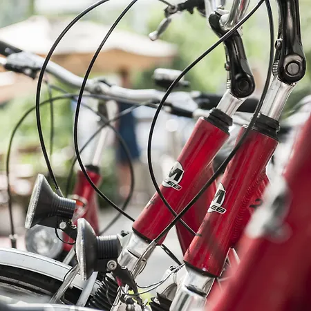 Weitzer - Centre Of 4*