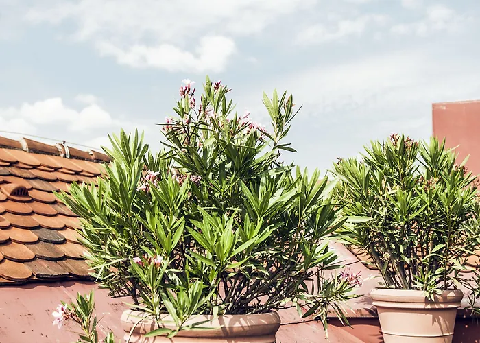 Weitzer - Centre Of Graz